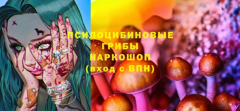 Псилоцибиновые грибы Magic Shrooms  Губкин 